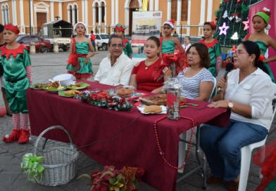 Granada oferta diversas opciones para disfrutar en esta temporada navideña