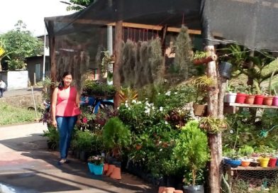 Vivero “Mi Jardin” un sueño que se volvió realidad