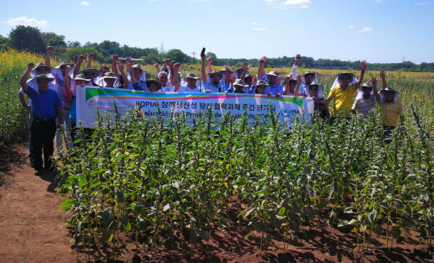 Chinandega: evalúan semillas de Ajonjolí traídas de Corea del Sur 