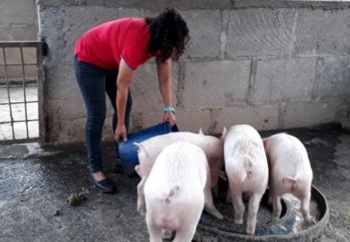 Matagalpa: Microcreditos en el campo rinden frutos en la comunidad de Limixto
