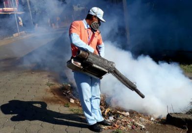 Brigadas del MINSA continúan combatiendo enfermedades transmitidas por los zancudos