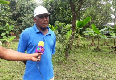 Caribe Norte: Crispín Dixon, exitoso protagonista indígena del programa Patio Saludable