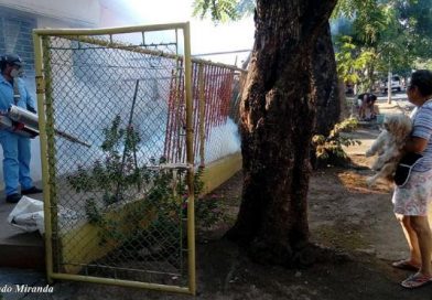 minsa fumigacion barrios