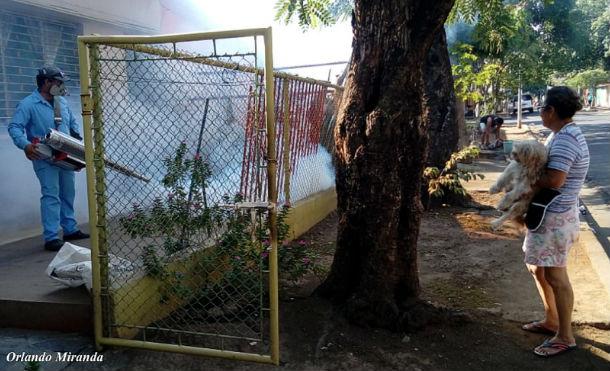 minsa fumigacion barrios