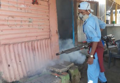 Ministerio de Salud sigue luchando contra el mosquito