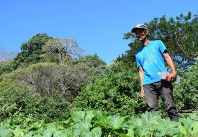 Protagonista del Programa Patio Saludable en Granada destaca apoyo del MEFCCA para avanzar en su producción