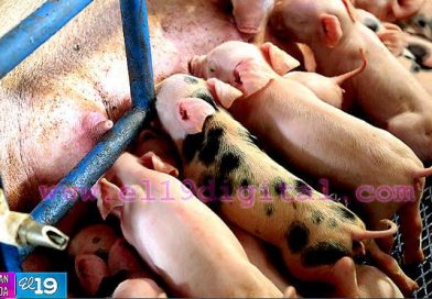 Anuncian 16 nuevos proyectos con el apoyo de China (Taiwán)
