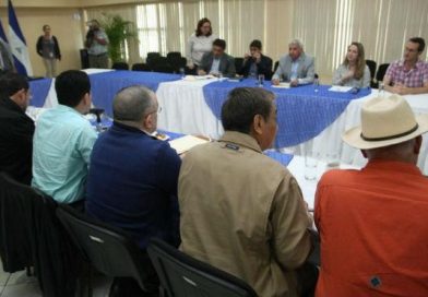 sectores reforma nicaragua