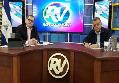 Sector agropecuario ha tenido un crecimiento significativo en los últimos 12 años
