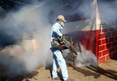 Verano, temporada para eliminar zancudos y criaderos