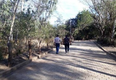 calle gobierno proyecto