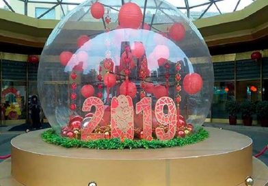 China inicia el año regida por el Cerdo de Tierra