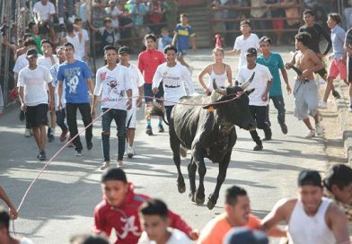 Corrida de toros sube la adrenalina en el barrio La Primavera