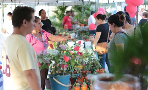 Realizan lanzamiento de Expoferia Amor a la Madre Tierra