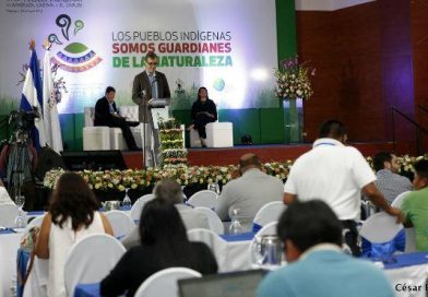 Participantes del Diálogo Regional de los Pueblos Indígenas destacan su importancia