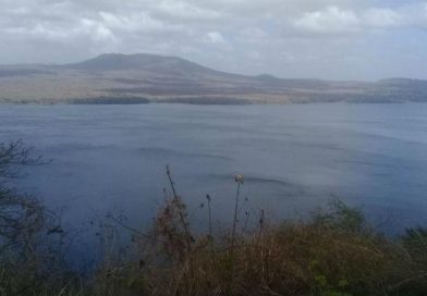 Alcaldía de Masaya promueve caminata en saludo al 41 aniversario de Los Sabogales