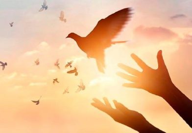 UNA OPORTUNIDAD A LA PAZ !