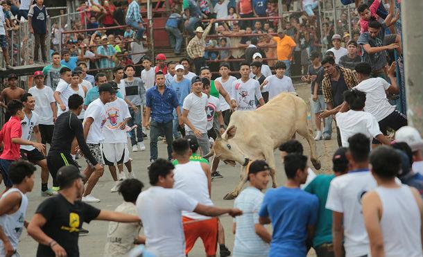 Corrida de toros sube la adrenalina en el barrio La Primavera