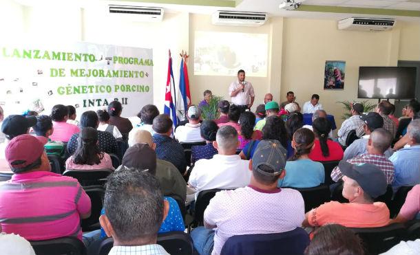 INTA realiza inauguración del Programa de Mejoramiento Genético para la crianza de cerdos