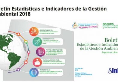 Marena presenta boletín estadístico de gestión ambiental