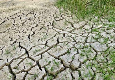 Asociación de Estados del Caribe analizará en Managua efectos del Cambio Climático