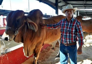 Inauguran XV Feria Hatofer – Camoapa 2019 con productores ganaderos de todo el país