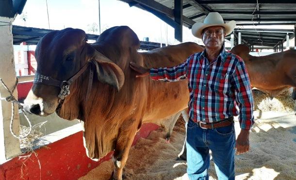 Inauguran XV Feria Hatofer – Camoapa 2019 con productores ganaderos de todo el país