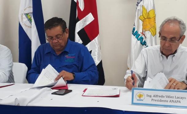 IPSA y ANAPA firman convenio para fortalecer sistema fitosanitario