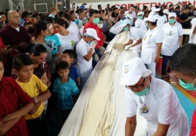 Chontales: Familias de Santo Tomás disfrutan del quesillo más grande de Nicaragua