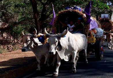 Granada: Carretas peregrinas salen rumbo a Popoyuapa