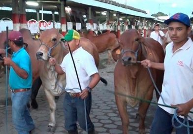 Este miércoles inauguran Feria EXPICA