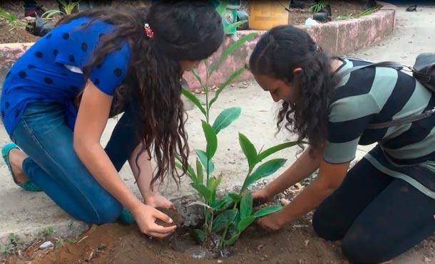 Villa el Carmen: Jóvenes y autoridades municipales realizan Jornada de Reforestación
