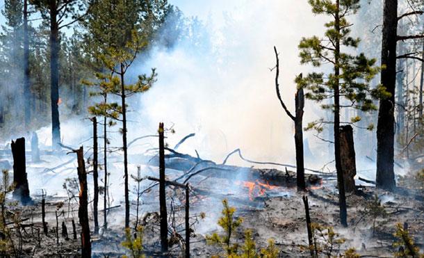 Incendios en Siberia dejan decenas de heridos y casas destruidas