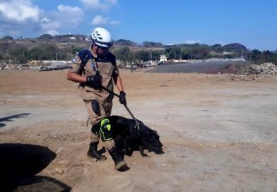 Unidad canina de Bomberos Unificados garantiza atención y protección a las familias