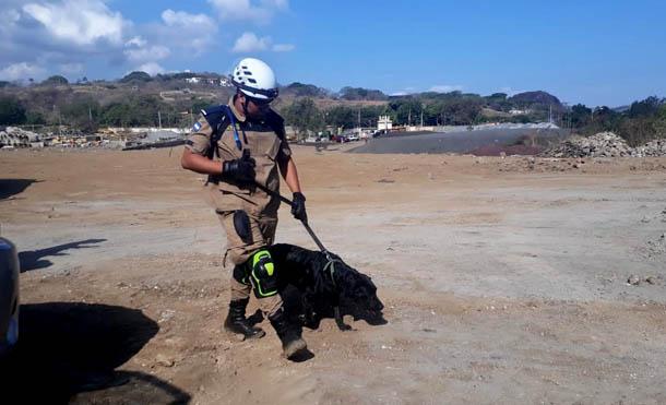 Unidad canina de Bomberos Unificados garantiza atención y protección a las familias