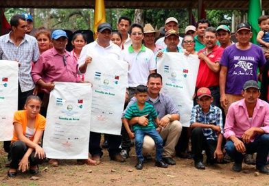 Nueva Guinea: INTA Y China (Taiwán) sembrarán nuevos Bancos de Semilla de Arroz