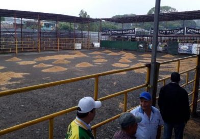 Todo listo para inicio de la Feria Agropecuaria FAGROMAT Matagalpa 2019