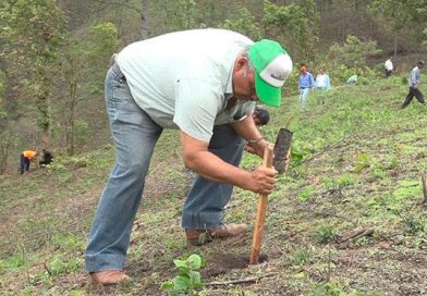 Realizan lanzamiento de Jornada Nacional de reforestación en Nueva Segovia