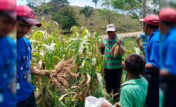 Este mes de mayo se presentará el Plan de Producción 2019