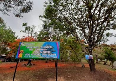 Inauguran un nuevo Arboretum Forestal en el municipio de San Rafael del Norte - Jinotega