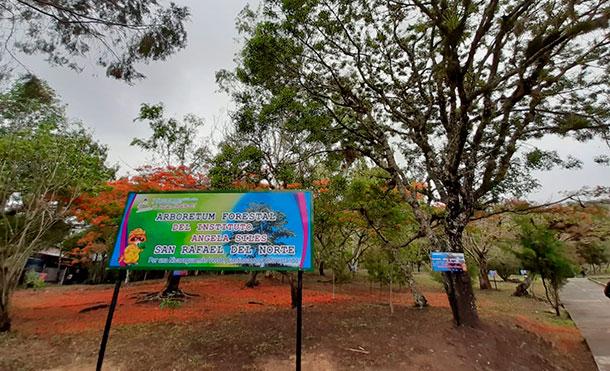 Inauguran un nuevo Arboretum Forestal en el municipio de San Rafael del Norte -  Jinotega