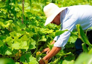 (+Video) Esta semana se presenta el Plan Nacional de Educación para el Campo en Nicaragua