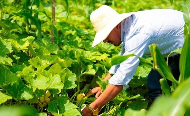 (+Video) Esta semana se presenta el Plan Nacional de Educación para el Campo en Nicaragua