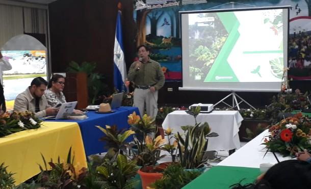 MARENA realiza taller sobre la “Economía de la Restauración Forestal y Monitoreo de los Bosques”