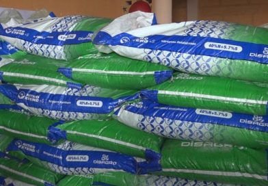 MEFCCA entrega abono a productores de Nueva Segovia