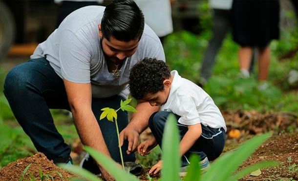 Estas son las actividades en saludo a la Semana del Medio Ambiente