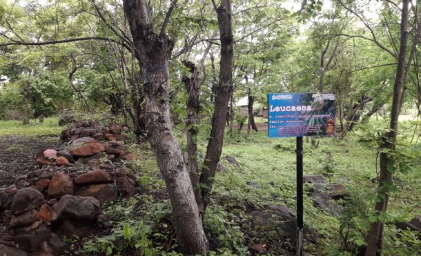 Estudiantes de Juigalpa cuentan con nuevo arboretum forestal