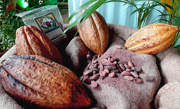 Feria Nacional del Cacao, una degustación que será altamente deliciosa