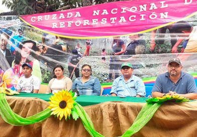 Realizan lanzamiento de departamental de la Jornada Nacional de Reforestación