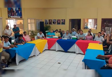 INAFOR realiza capacitación con productores de establecimientos de Sistemas Agrosilvopastoriles